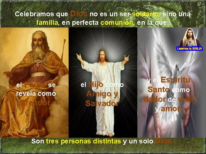 Celebramos que Dios no es un ser solitario, sino una familia, en perfecta comunión,