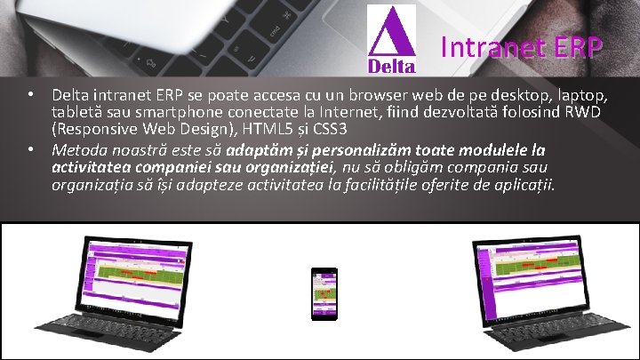 Intranet ERP • Delta intranet ERP se poate accesa cu un browser web de