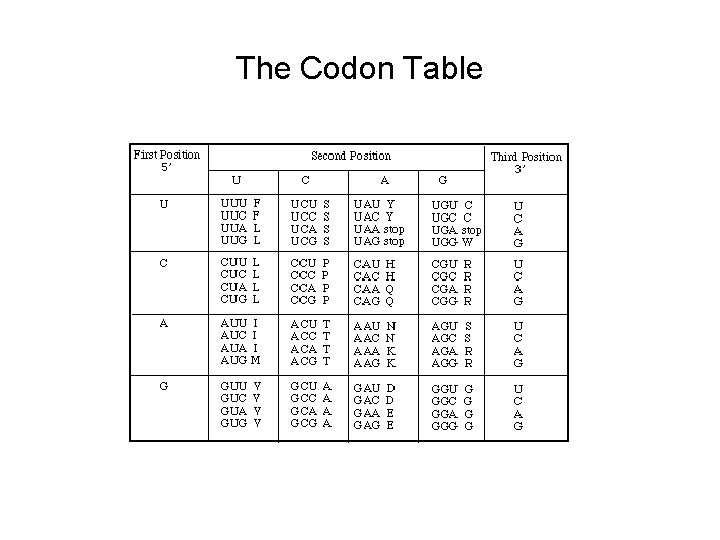 LESSON 4 Using Bioinformatics to Analyze Protein Sequences