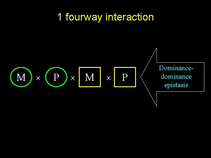 1 fourway interaction M P M P Dominancedominance epistasis 