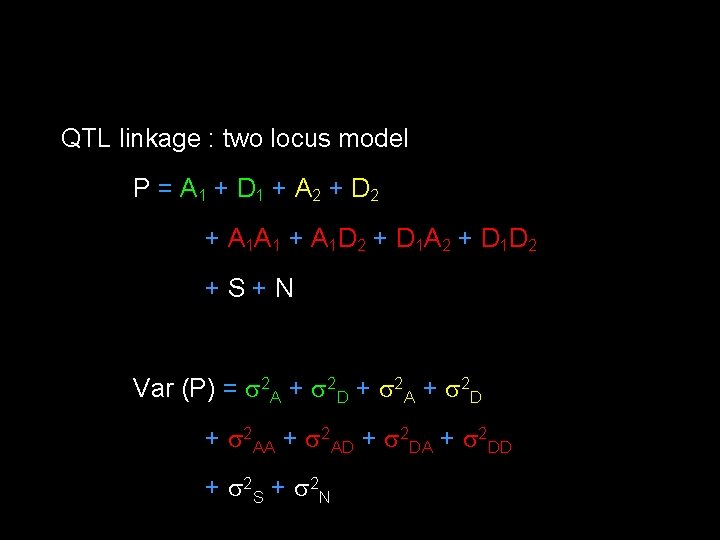 QTL linkage : two locus model P = A 1 + D 1 +