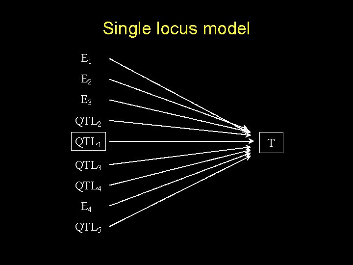Single locus model E 1 E 2 E 3 QTL 2 QTL 1 QTL