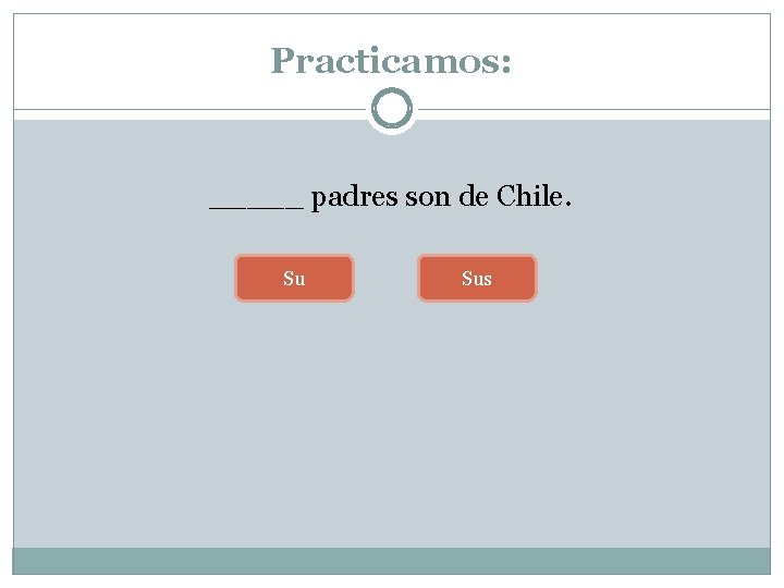 Practicamos: _____ padres son de Chile. Su Sus 