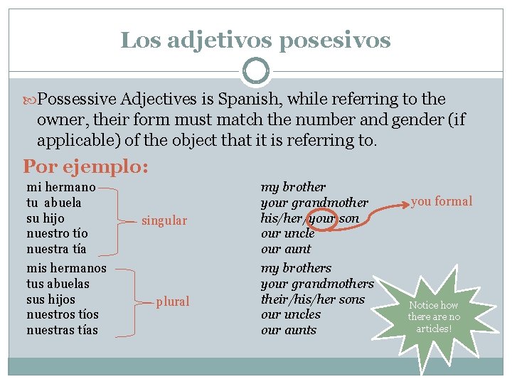 Los adjetivos posesivos Possessive Adjectives is Spanish, while referring to the owner, their form