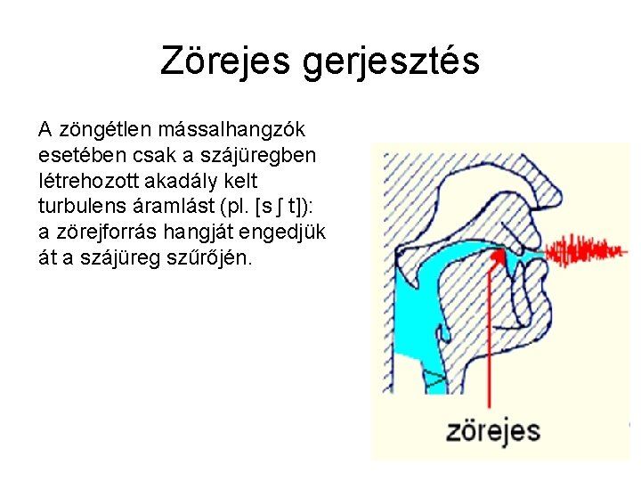 Zörejes gerjesztés A zöngétlen mássalhangzók esetében csak a szájüregben létrehozott akadály kelt turbulens áramlást