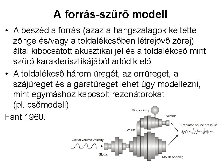 A forrás-szűrő modell • A beszéd a forrás (azaz a hangszalagok keltette zönge és/vagy