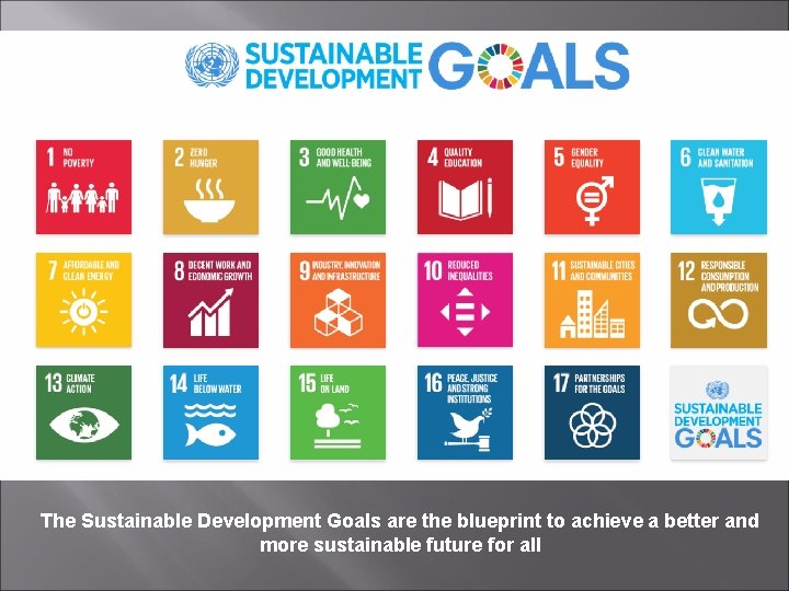 The Sustainable Development Goals are the blueprint to achieve a better and more sustainable