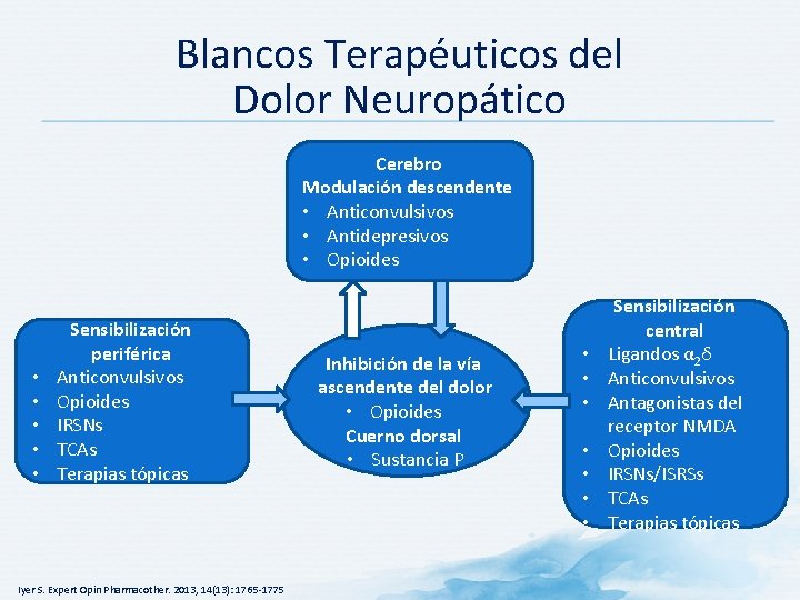 Blancos Terapéuticos del Dolor Neuropático Cerebro Modulación descendente • Anticonvulsivos • Antidepresivos • Opioides