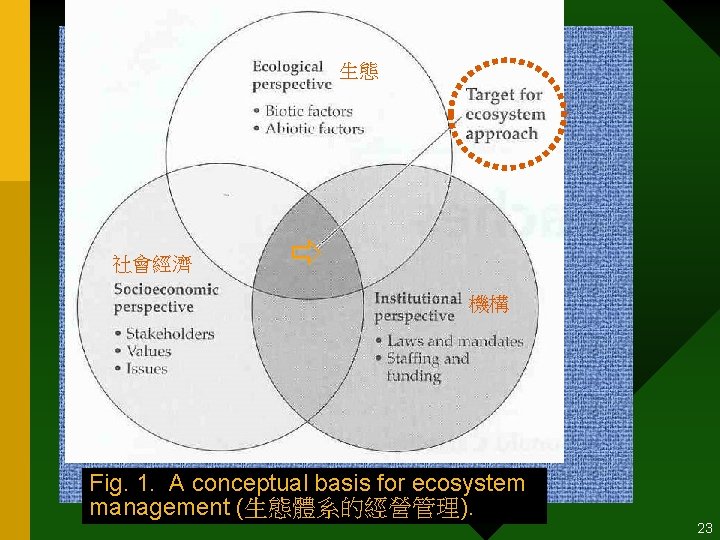 生態 社會經濟 機構 Fig. 1. A conceptual basis for ecosystem management (生態體系的經營管理). 23 