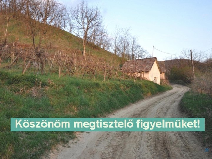 Köszönöm megtisztelő figyelmüket! 20 