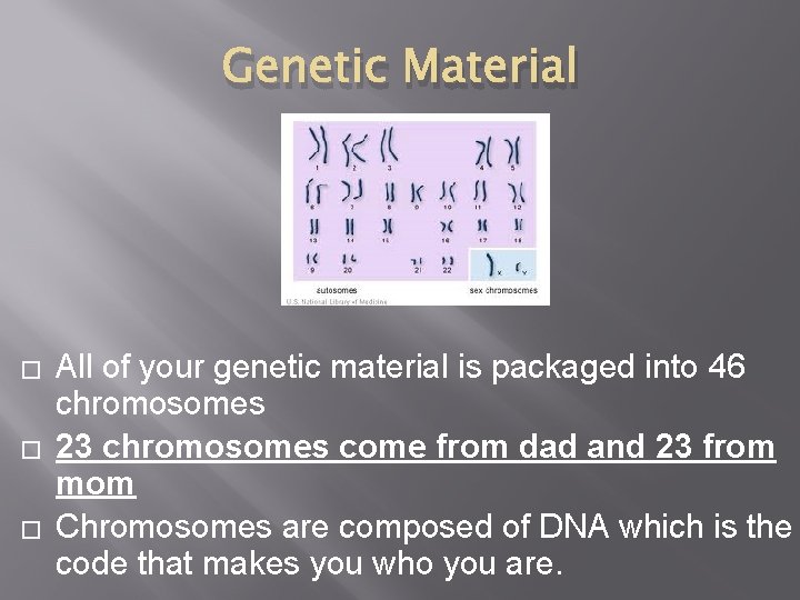 Genetic Material � � � All of your genetic material is packaged into 46
