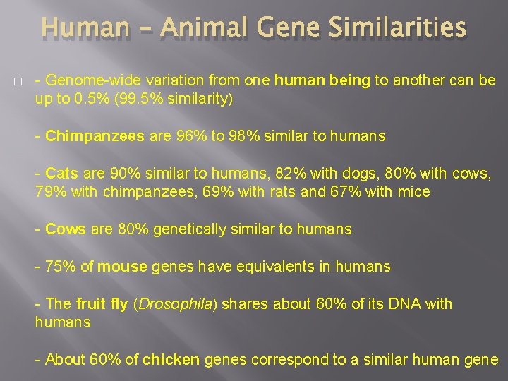 Human – Animal Gene Similarities � - Genome-wide variation from one human being to