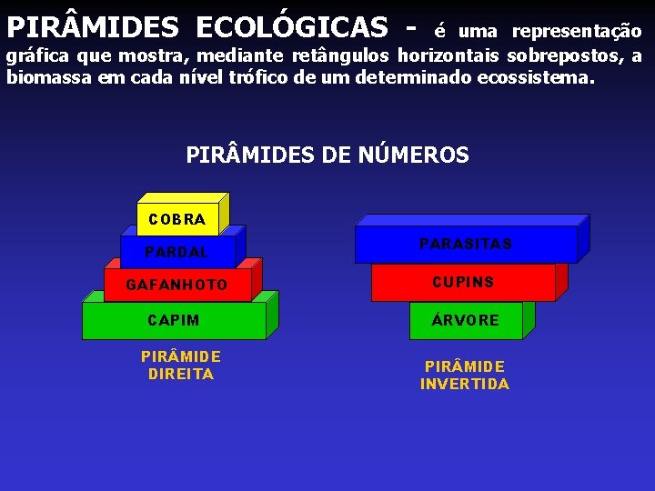 PIR MIDES ECOLÓGICAS - é uma representação gráfica que mostra, mediante retângulos horizontais sobrepostos,