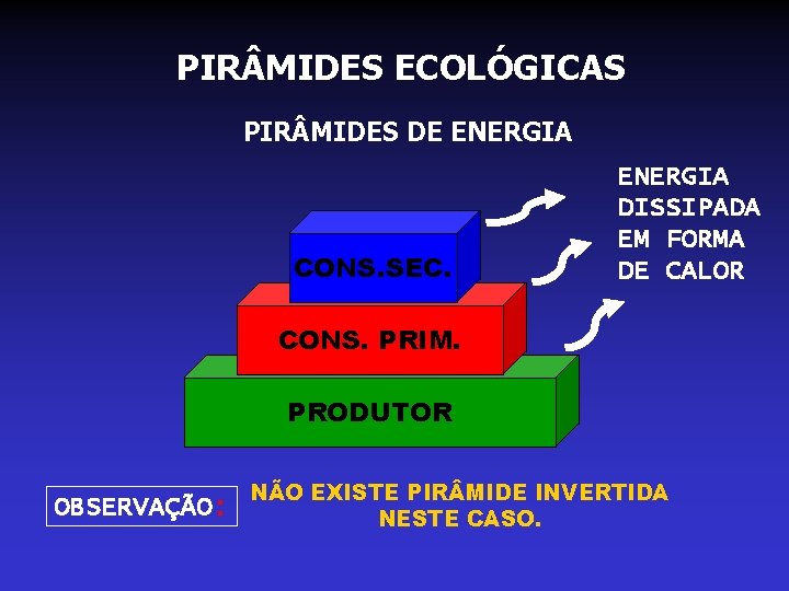 PIR MIDES ECOLÓGICAS PIR MIDES DE ENERGIA CONS. SEC. ENERGIA DISSIPADA EM FORMA DE