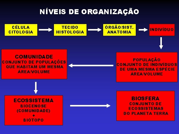 NÍVEIS DE ORGANIZAÇÃO CÉLULA CITOLOGIA COMUNIDADE TECIDO HISTOLOGIA CONJUNTO DE POPULAÇÕES QUE HABITAM UM