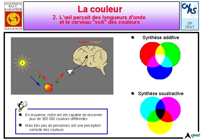 La couleur 2. L'œil perçoit des longueurs d'onde et le cerveau "voit" des couleurs