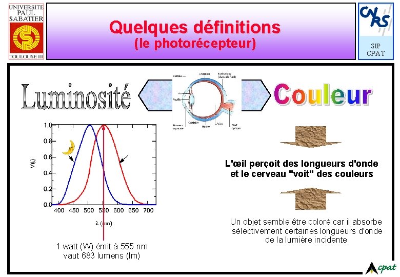 Quelques définitions (le photorécepteur) SIP CPAT L'œil perçoit des longueurs d'onde et le cerveau