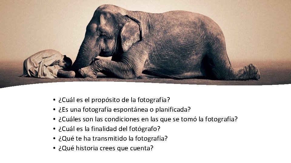 • • • ¿Cuál es el propósito de la fotografía? ¿Es una fotografía • • • ¿Cuál es el propósito de la fotografía? ¿Es una fotografía