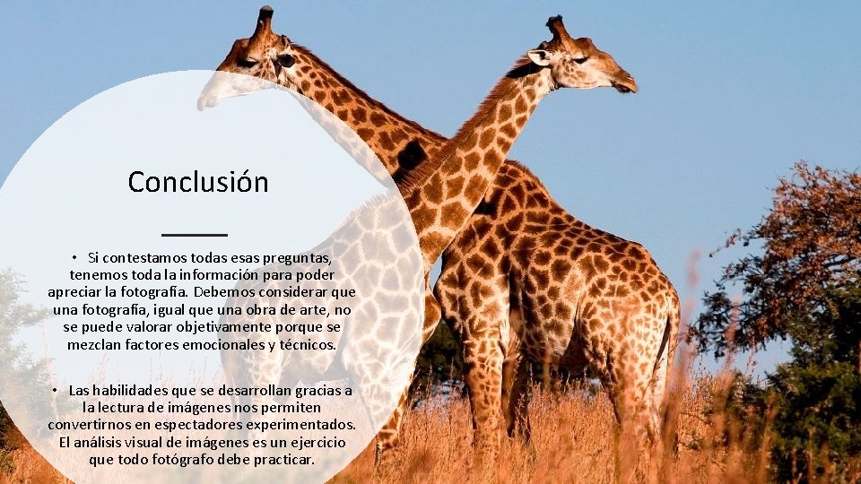 Conclusión • Si contestamos todas esas preguntas, tenemos toda la información para poder apreciar Conclusión • Si contestamos todas esas preguntas, tenemos toda la información para poder apreciar