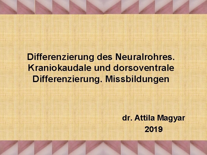 Differenzierung des Neuralrohres. Kraniokaudale und dorsoventrale Differenzierung. Missbildungen dr. Attila Magyar 2019 