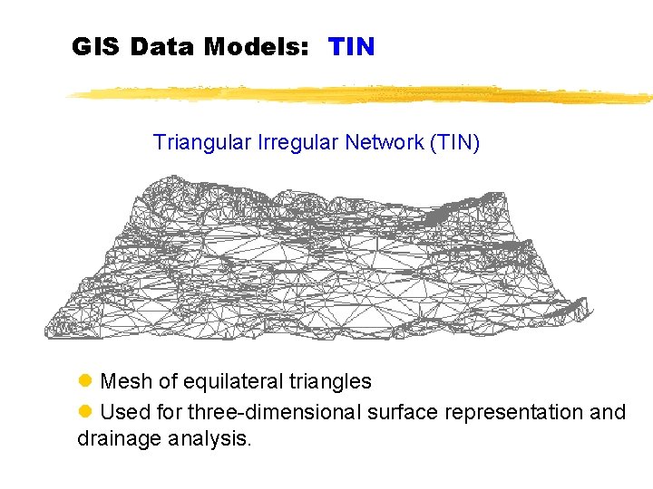 GIS Data Models: TIN Triangular Irregular Network (TIN) l Mesh of equilateral triangles l