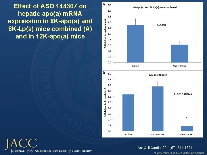 Effect of ASO 144367 on hepatic apo(a) m. RNA expression in 8 K-apo(a) and