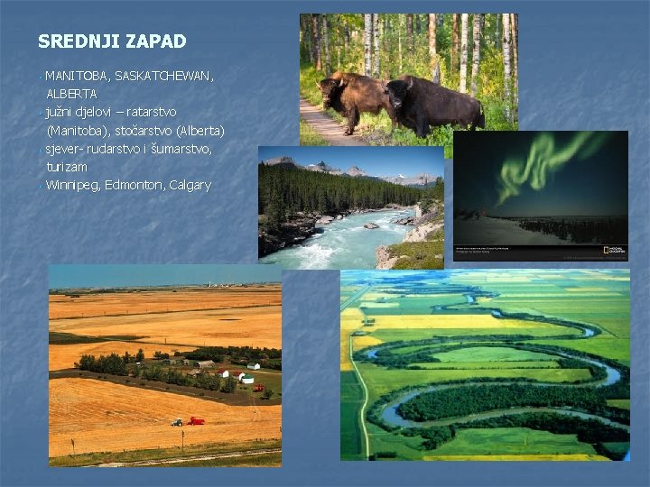 SREDNJI ZAPAD MANITOBA, SASKATCHEWAN, ALBERTA • južni djelovi – ratarstvo (Manitoba), stočarstvo (Alberta) •