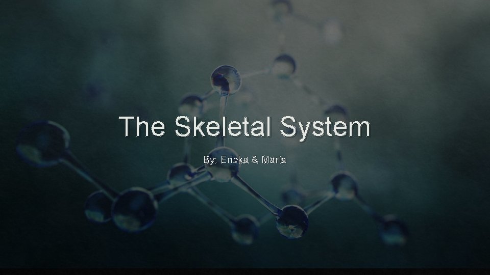 The Skeletal System By: Ericka & Maria 