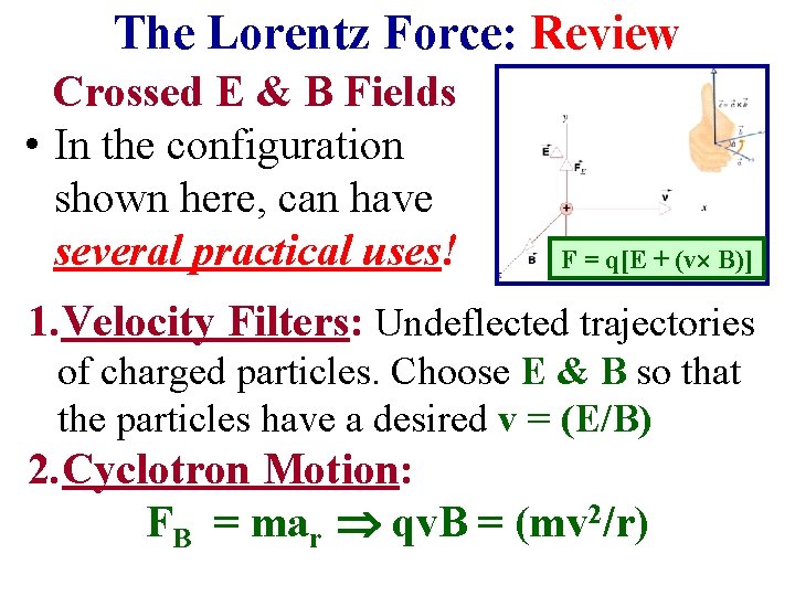 The Lorentz Force: Review Crossed E & B Fields • In the configuration shown The Lorentz Force: Review Crossed E & B Fields • In the configuration shown