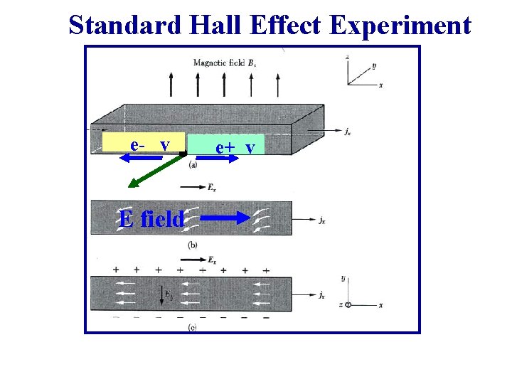 Standard Hall Effect Experiment e- v E field e+ v Standard Hall Effect Experiment e- v E field e+ v