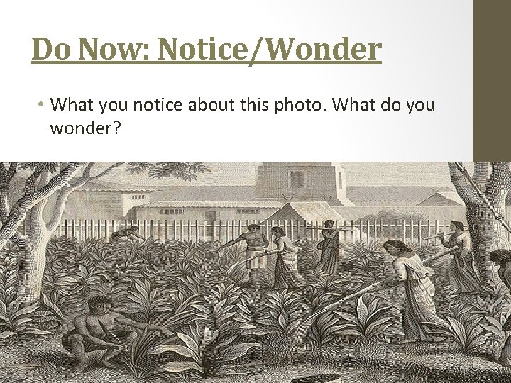 Do Now: Notice/Wonder • What you notice about this photo. What do you wonder?