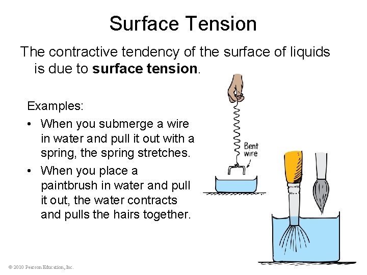 Surface Tension The contractive tendency of the surface of liquids is due to surface