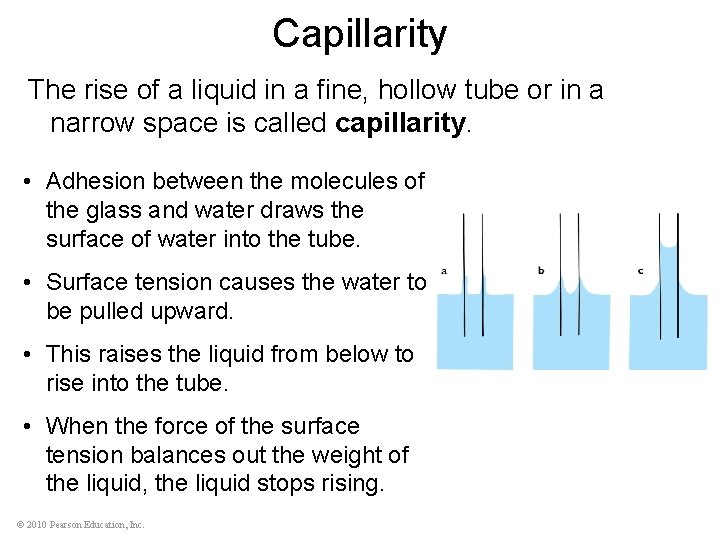 Capillarity The rise of a liquid in a fine, hollow tube or in a