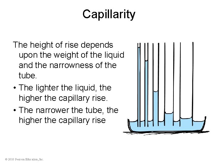 Capillarity The height of rise depends upon the weight of the liquid and the