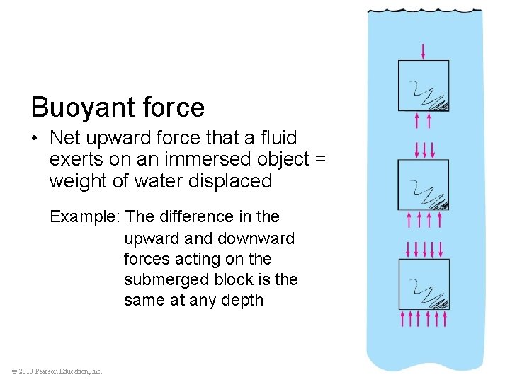 Buoyant force • Net upward force that a fluid exerts on an immersed object