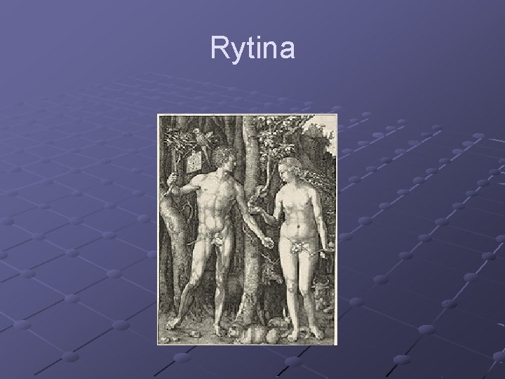 Rytina 