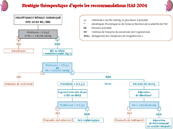 Stratégie thérapeutique d’après les recommandations HAS 2004 