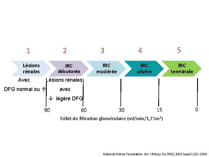 1 2 Lésions rénales IRC modérée IRC débutante Avec Lésions rénales DFG normal ou