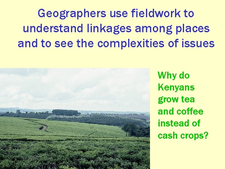 Geographers use fieldwork to understand linkages among places and to see the complexities of
