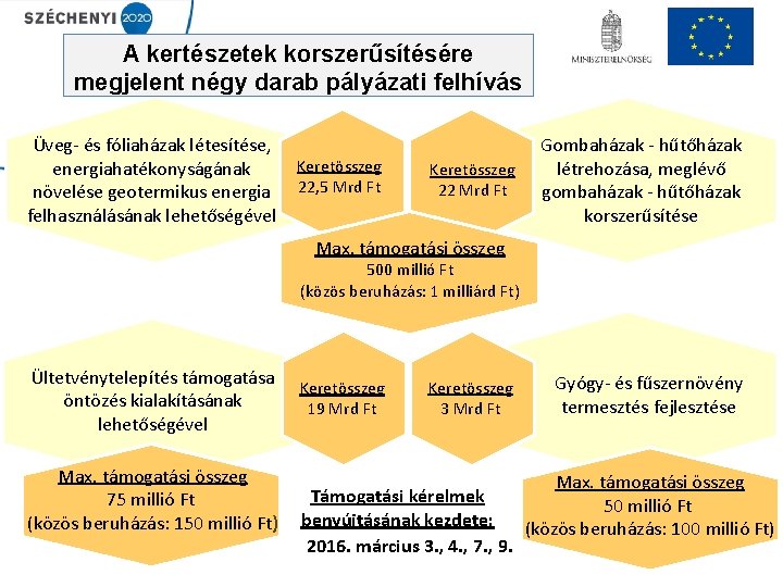 A kertészetek korszerűsítésére megjelent négy darab pályázati felhívás Üveg- és fóliaházak létesítése, energiahatékonyságának növelése