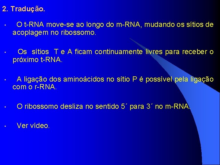 2. Tradução. • O t-RNA move-se ao longo do m-RNA, mudando os sítios de