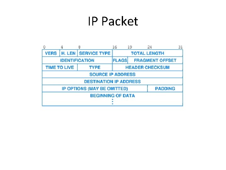 IP Packet 