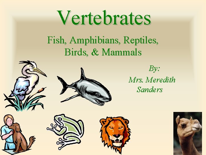 Vertebrates Fish, Amphibians, Reptiles, Birds, & Mammals By: Mrs. Meredith Sanders 