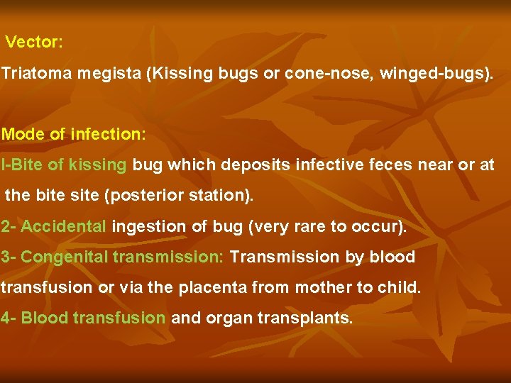 Vector: Triatoma megista (Kissing bugs or cone-nose, winged-bugs). Mode of infection: I-Bite of kissing