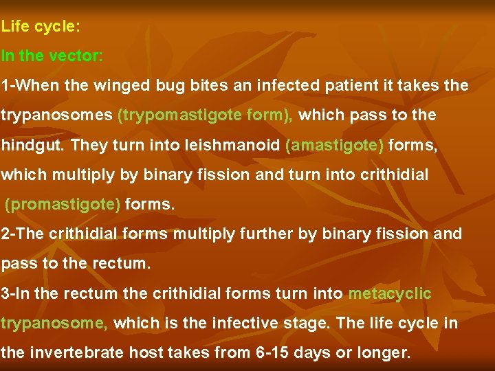 Life cycle: In the vector: 1 -When the winged bug bites an infected patient