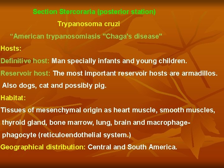 Section Stercoraria (posterior station) Trypanosoma cruzi “American trypanosomiasis "Chaga's disease" Hosts: Definitive host: Man