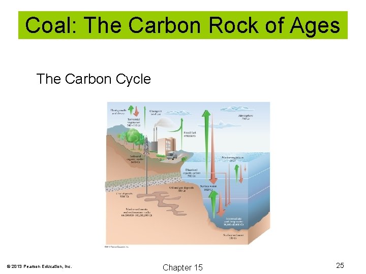 Coal: The Carbon Rock of Ages The Carbon Cycle © 2013 Pearson Education, Inc.