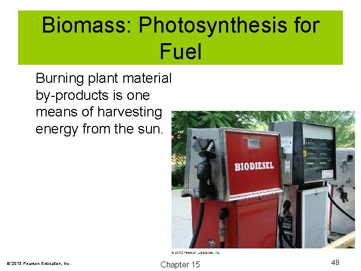 Biomass: Photosynthesis for Fuel Burning plant material by-products is one means of harvesting energy