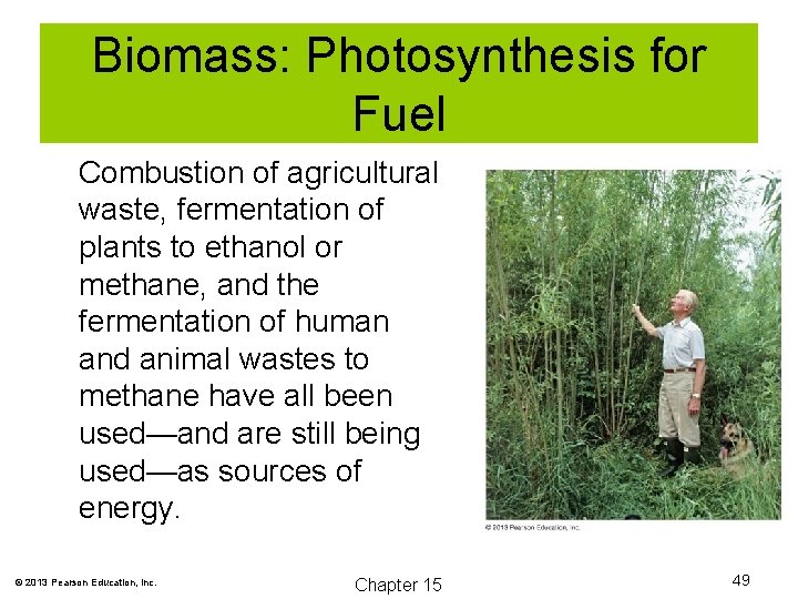Biomass: Photosynthesis for Fuel Combustion of agricultural waste, fermentation of plants to ethanol or