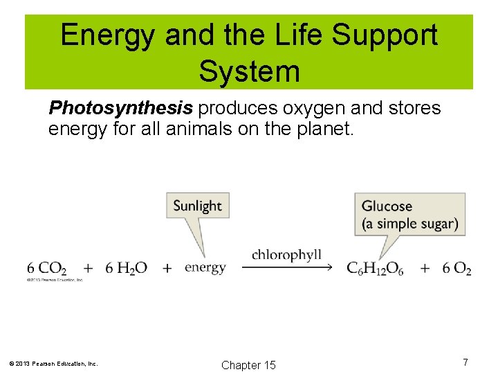 Energy and the Life Support System Photosynthesis produces oxygen and stores energy for all